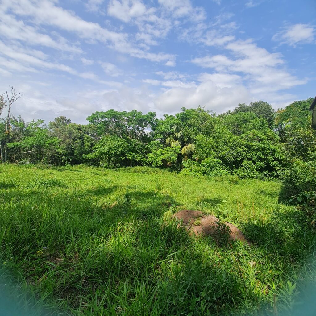 80b4acaf-e5a9-4df7-afc9-0bd3ea740d1b