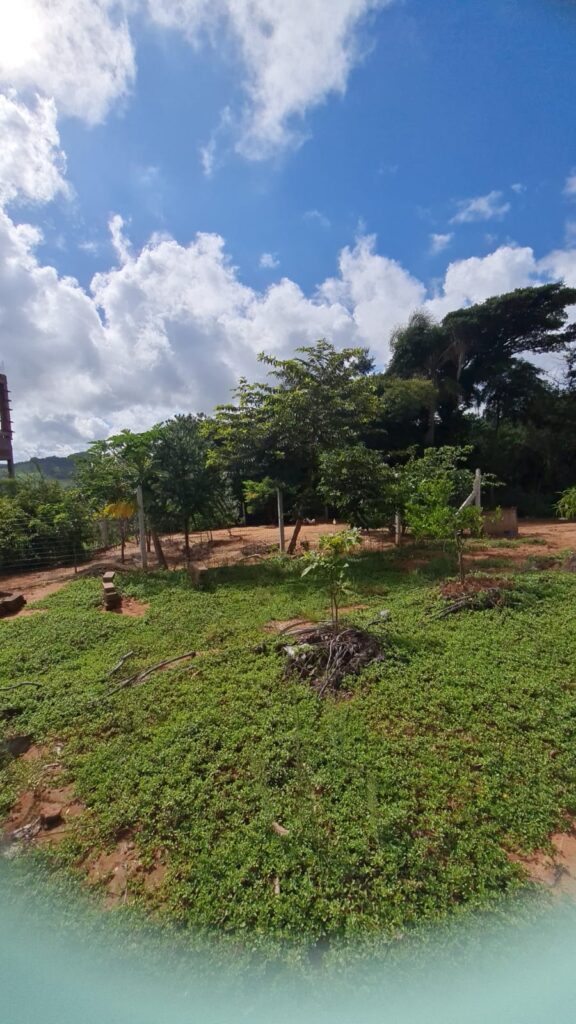 8184a9ba-34ac-422f-995d-5cca252c4834