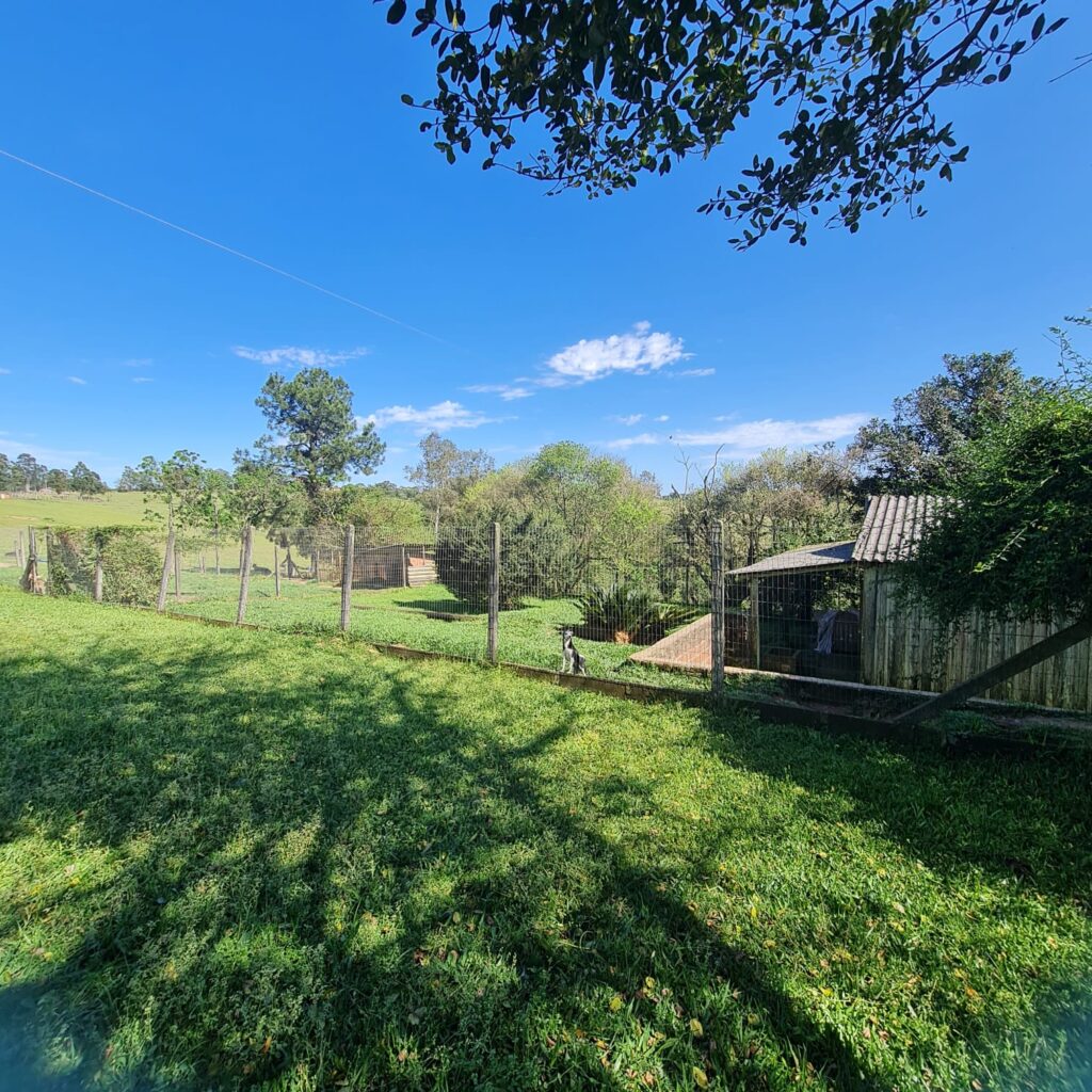 89315e18-6561-4cae-8861-d80a59813b6b