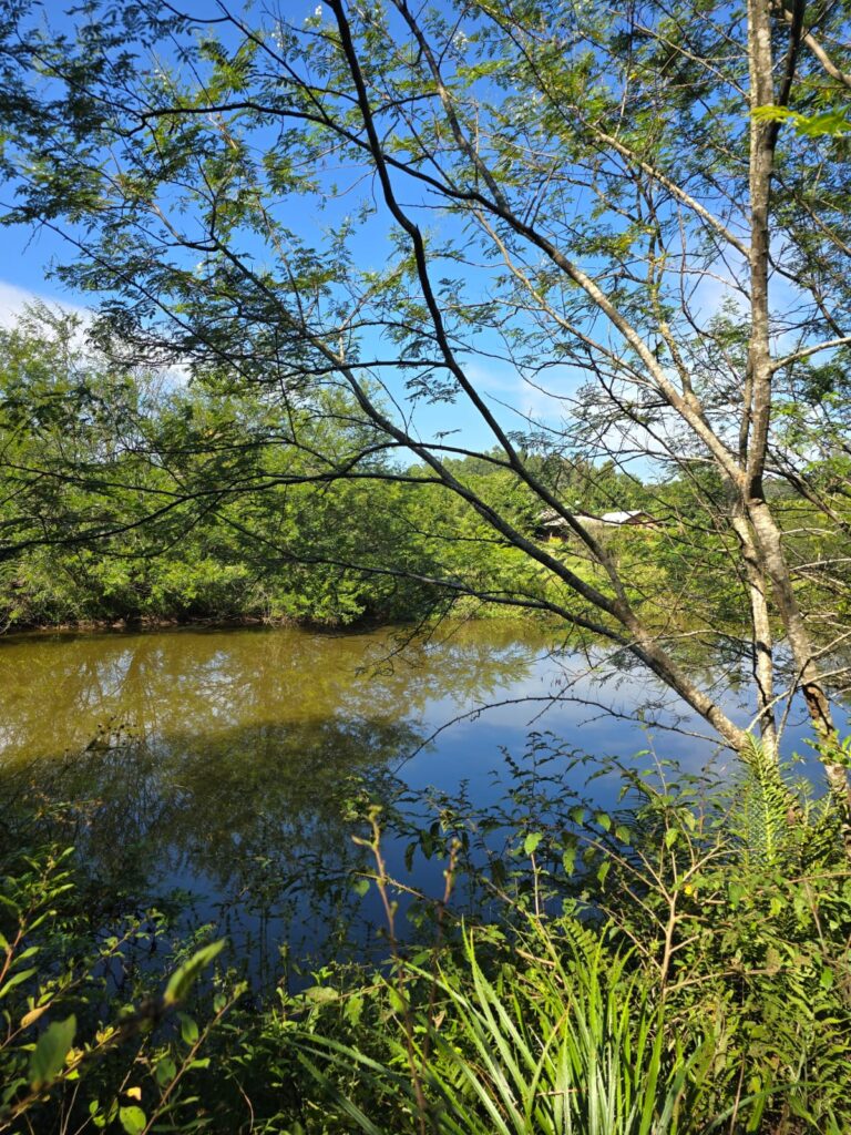 97ae12ac-3cb5-4e0c-babc-4b1ea00c12ec