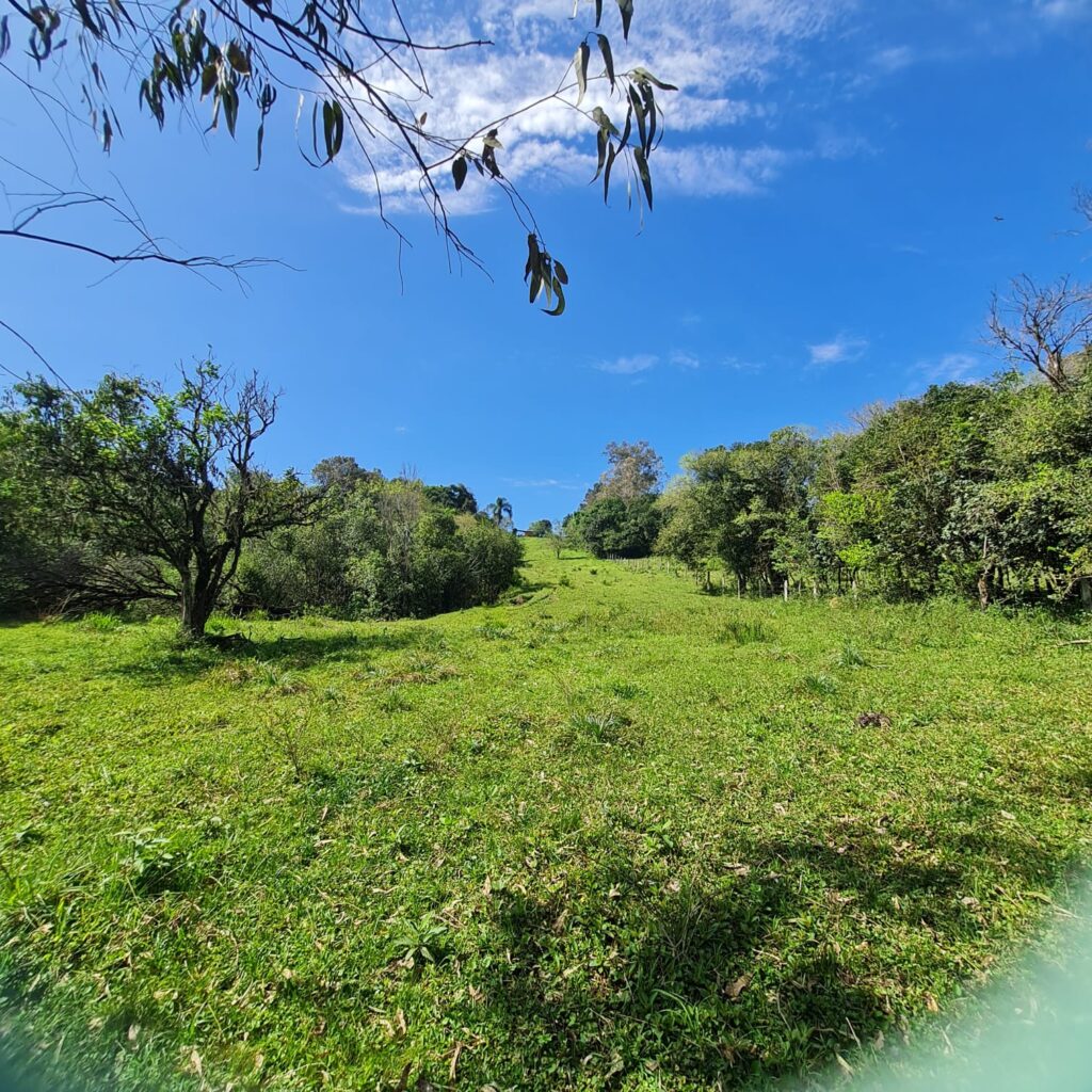 99972dae-05a3-4fc9-b5dd-c3357966c8b8