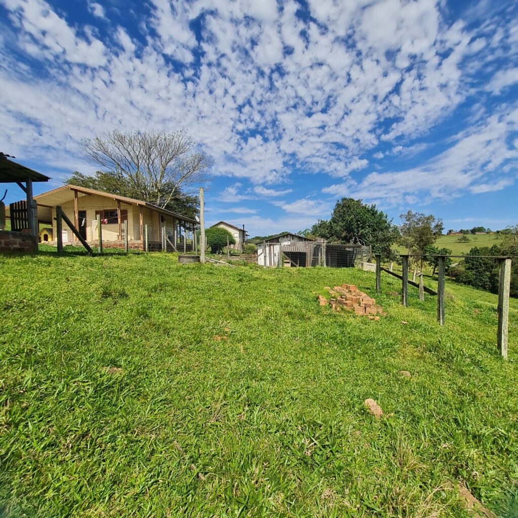 9b954ad3-9507-4d35-98c0-960d46e3de85