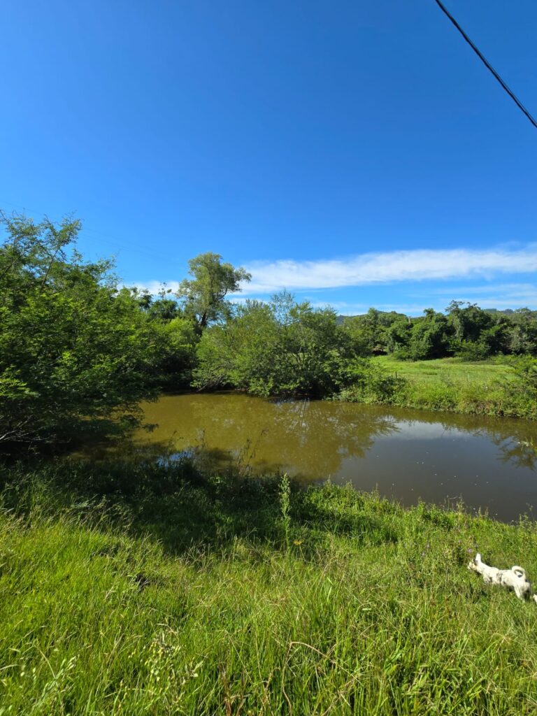 9e1c06fc-23e6-4208-a3d7-c5c95ae83990