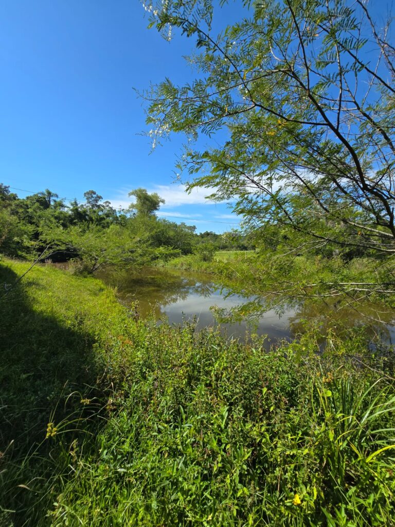 9ea93c23-8dc9-4f33-b35f-dd8b2b6e1c0e