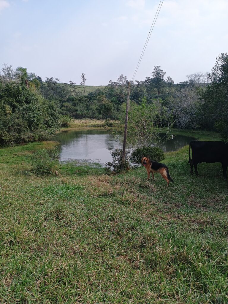 IMG_20240803_121651596