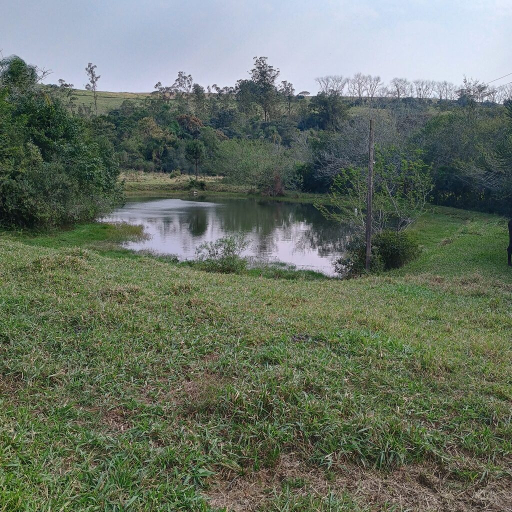 IMG_20240803_121722233_HDR