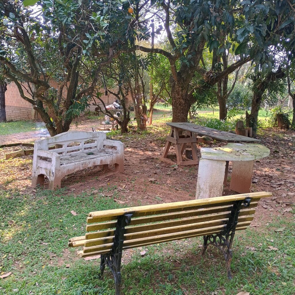 IMG_20240803_122531193_HDR