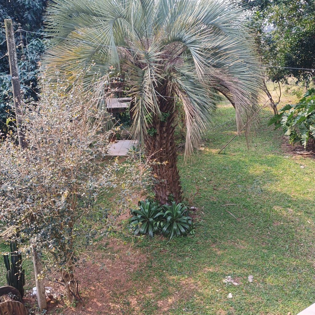 IMG_20240803_123234533