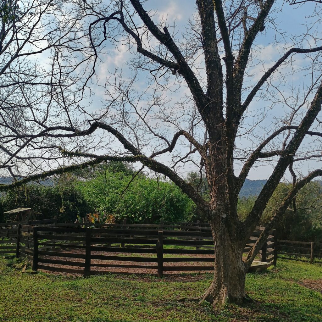 IMG_20240803_123511689_HDR