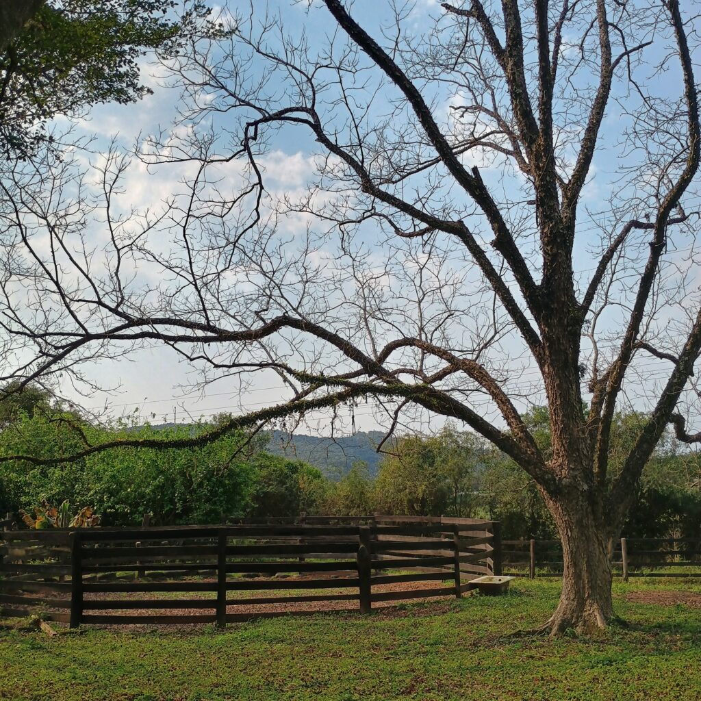 IMG_20240803_123527915_HDR