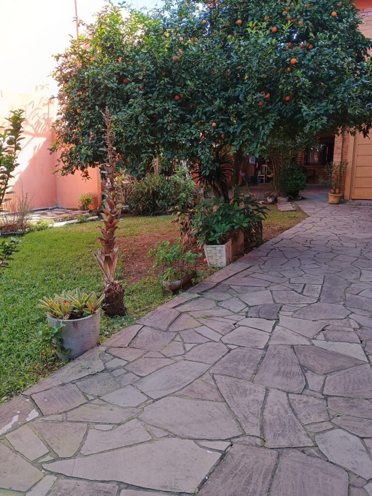 IMG_20240810_143630767_HDR