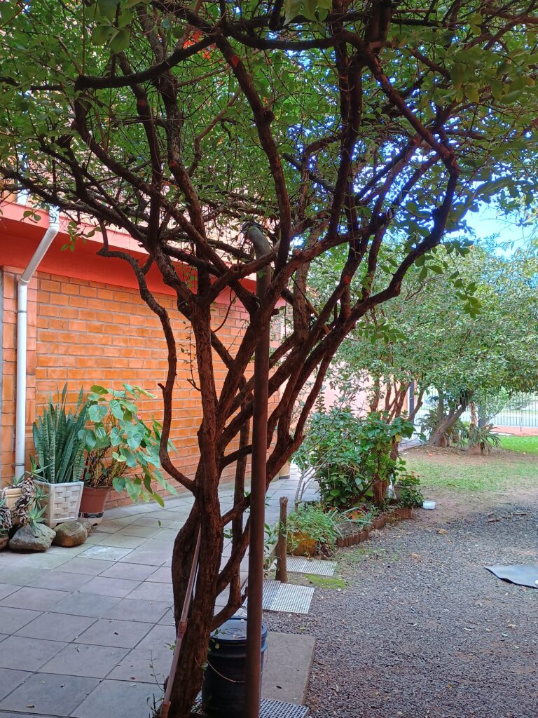 IMG_20240810_145500662_HDR