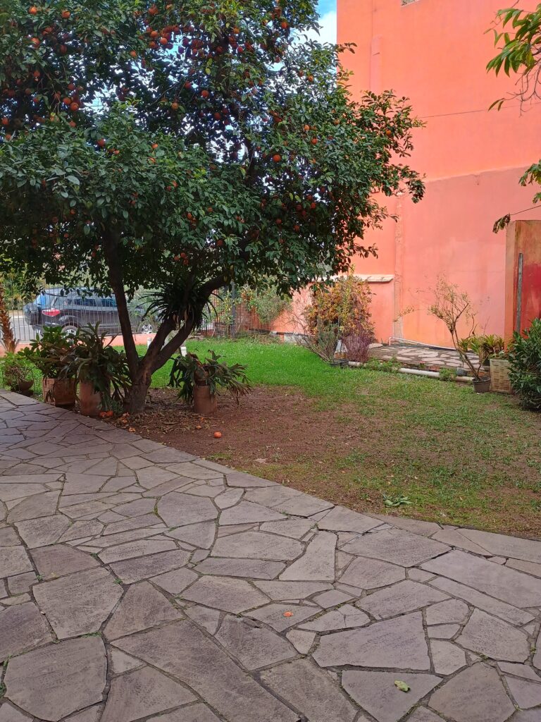 IMG_20240810_145626230_HDR