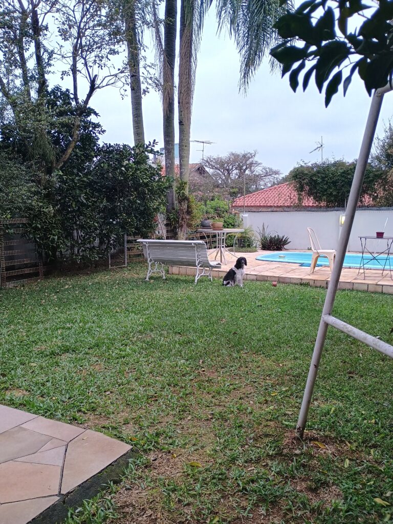 IMG_20240817_173037555_HDR