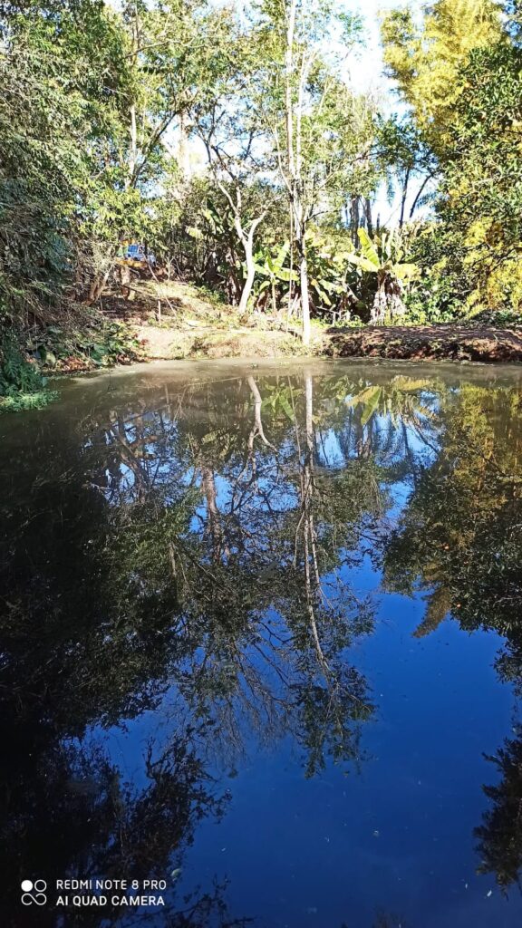 a025d86b-91ad-4817-9040-a90fbf0282d9