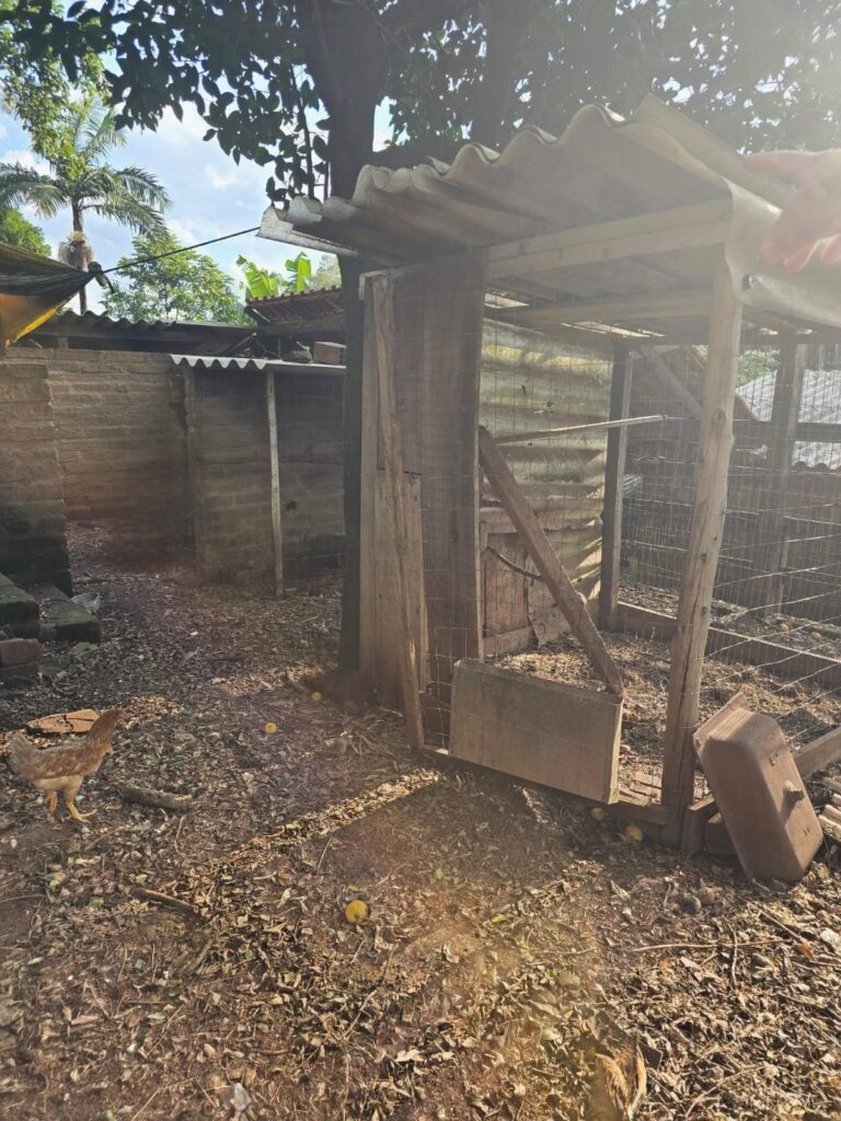 a53f9172-dcea-4918-afa0-e13971b2fa2e