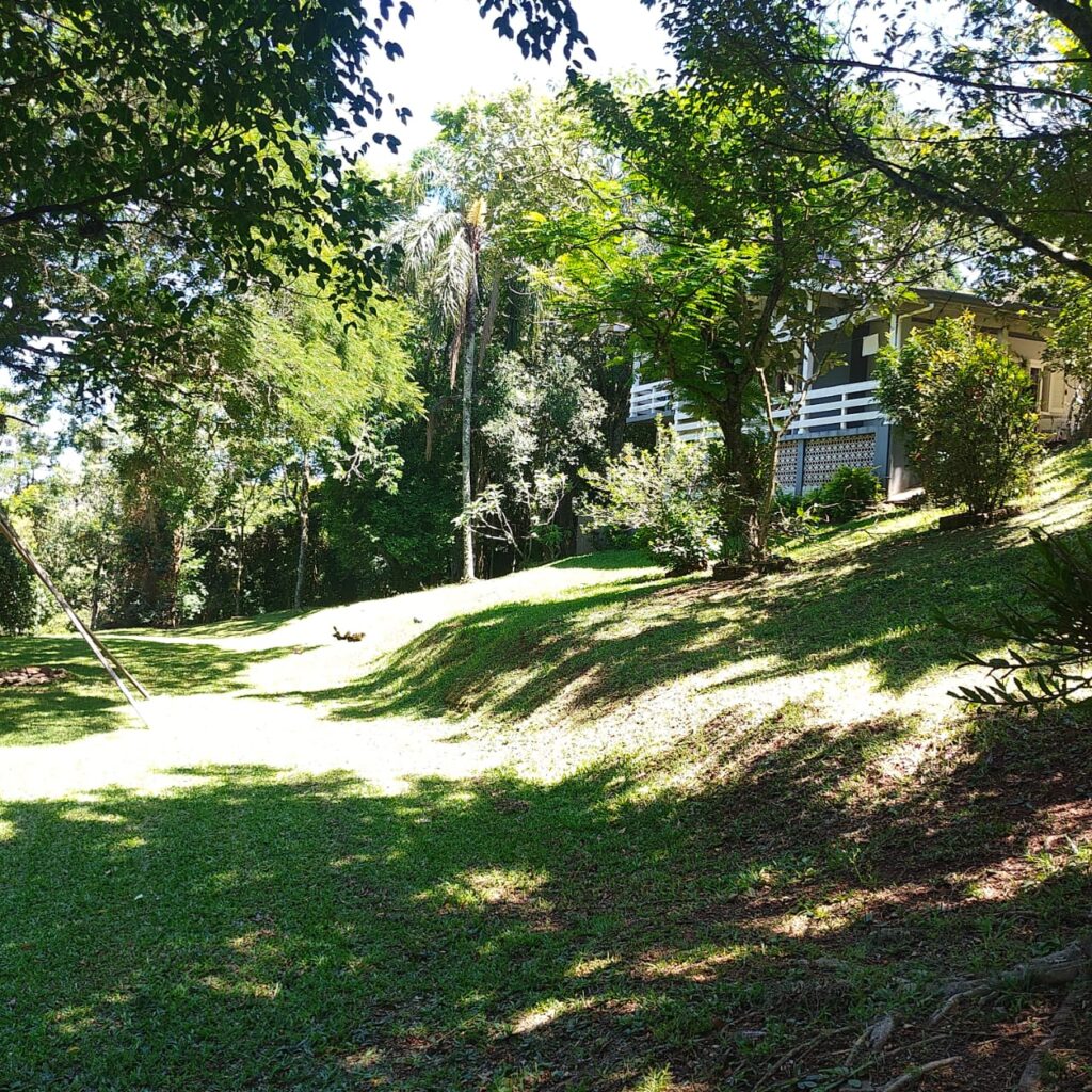 a543d132-9f4e-4c03-9bd9-ea973008b96c