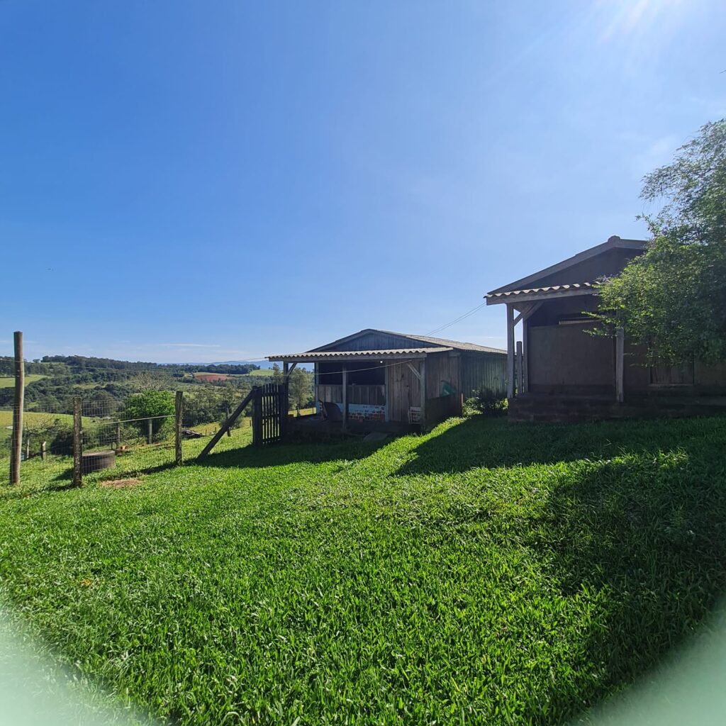 a5bfe36b-cae5-41b6-91cc-3028ac2f8803