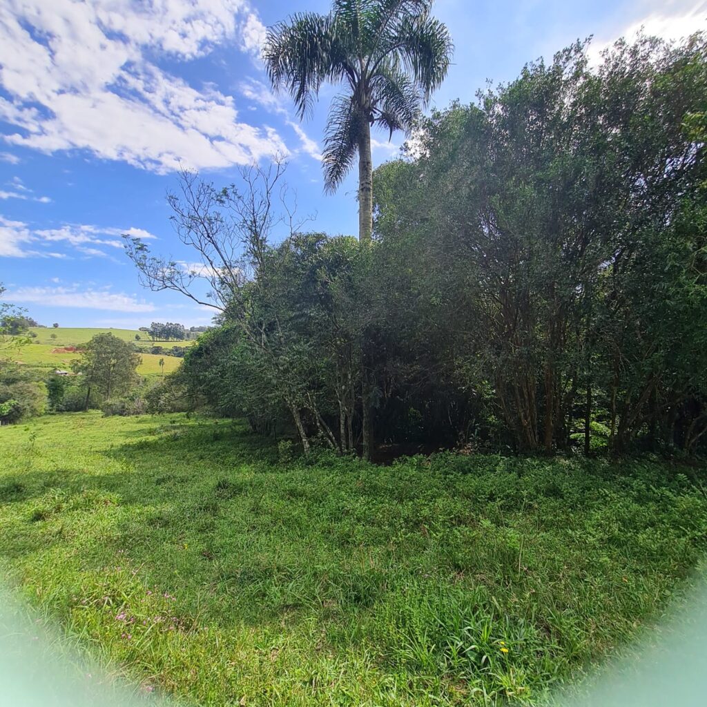 a61114cf-5a0e-4f17-9ce3-743d19151177