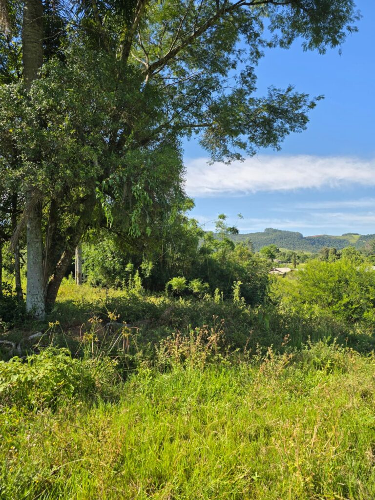 a753cb1d-c4af-4fe9-9d40-ed2ca7dabff7