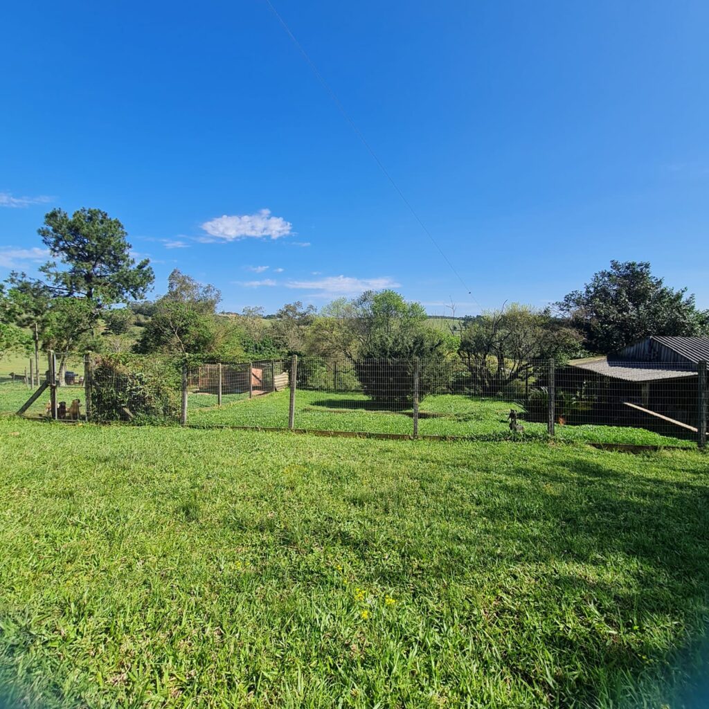 a9d68adc-9ea8-460c-8137-e5789b9c4452