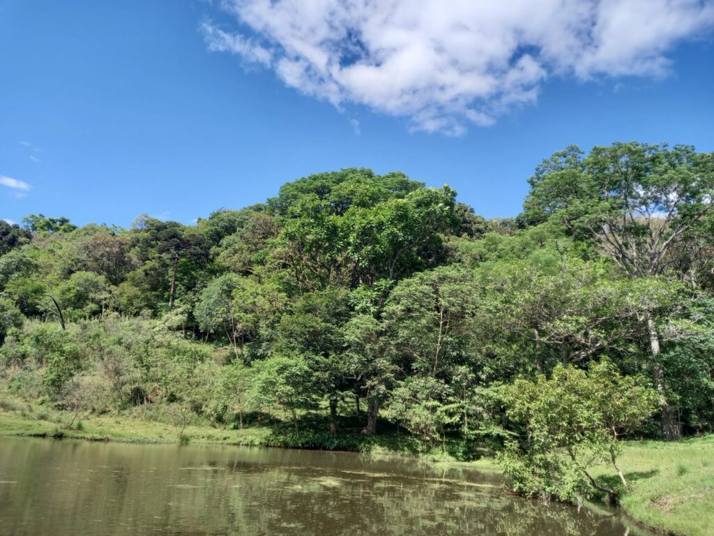 b174311b-d5d4-49eb-aa18-39f3e8853e80