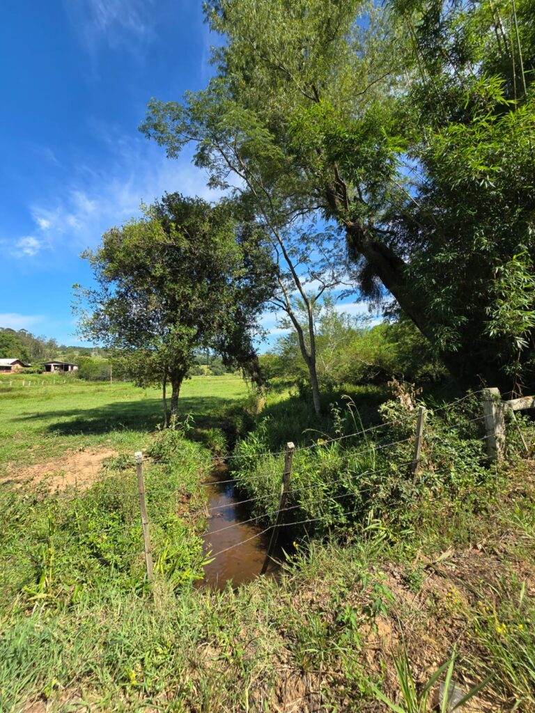 b8ab2d97-2f0c-4568-8bb2-a83446429820