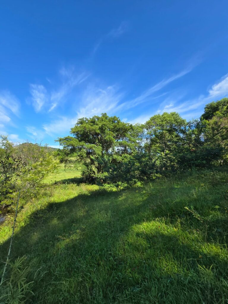 b9d511d9-a117-4712-ab5a-26d1f327bbf3