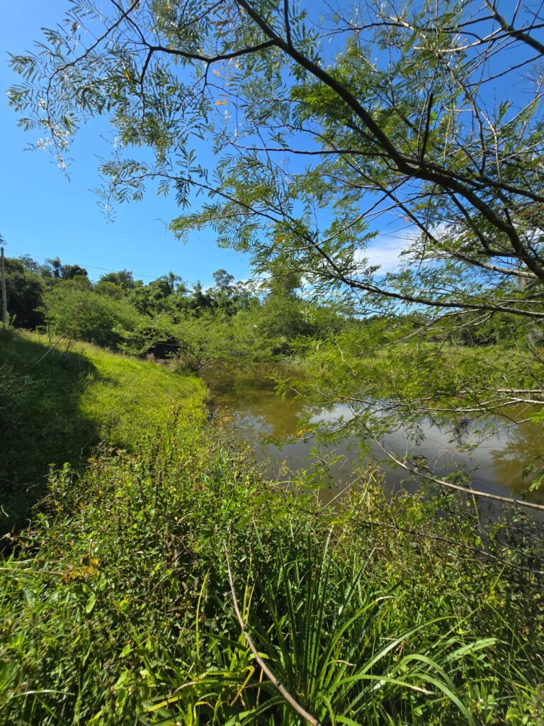 b9e89847-9448-4b2a-a473-a08a7a891c42