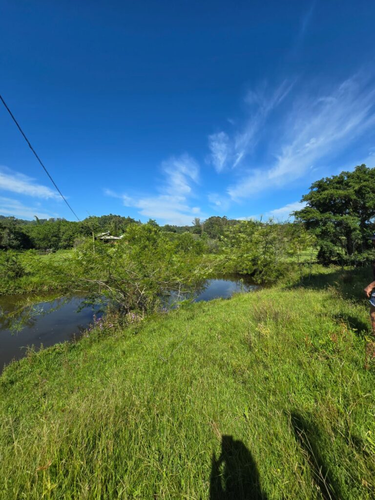 ba5b2553-57dc-4ff4-af0c-3467d29133ac