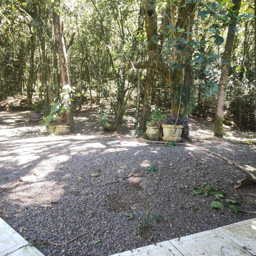 bc4bdeda-f565-431d-8f4e-05b1be6aed99