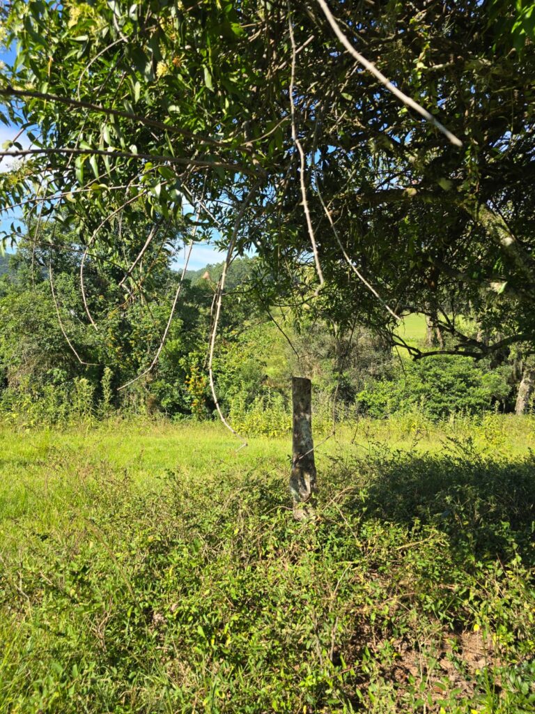 bec2b2ea-538b-4706-acd7-9b5588c001e9