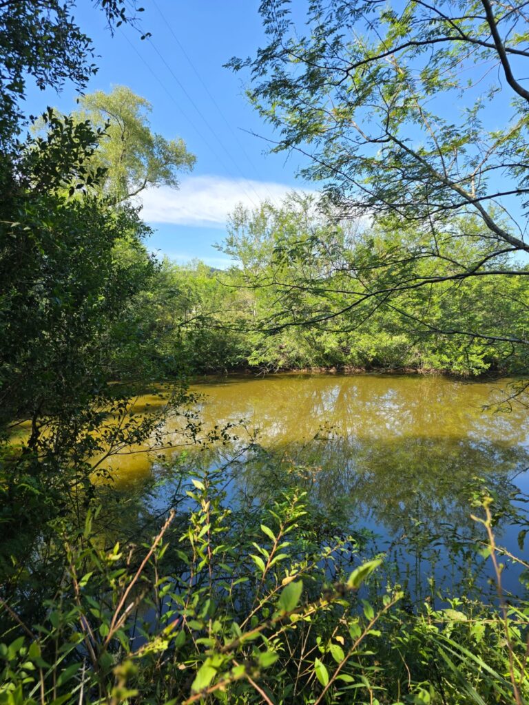 bf73a023-b5d5-4d55-ba5d-c8fb4b4e44dc