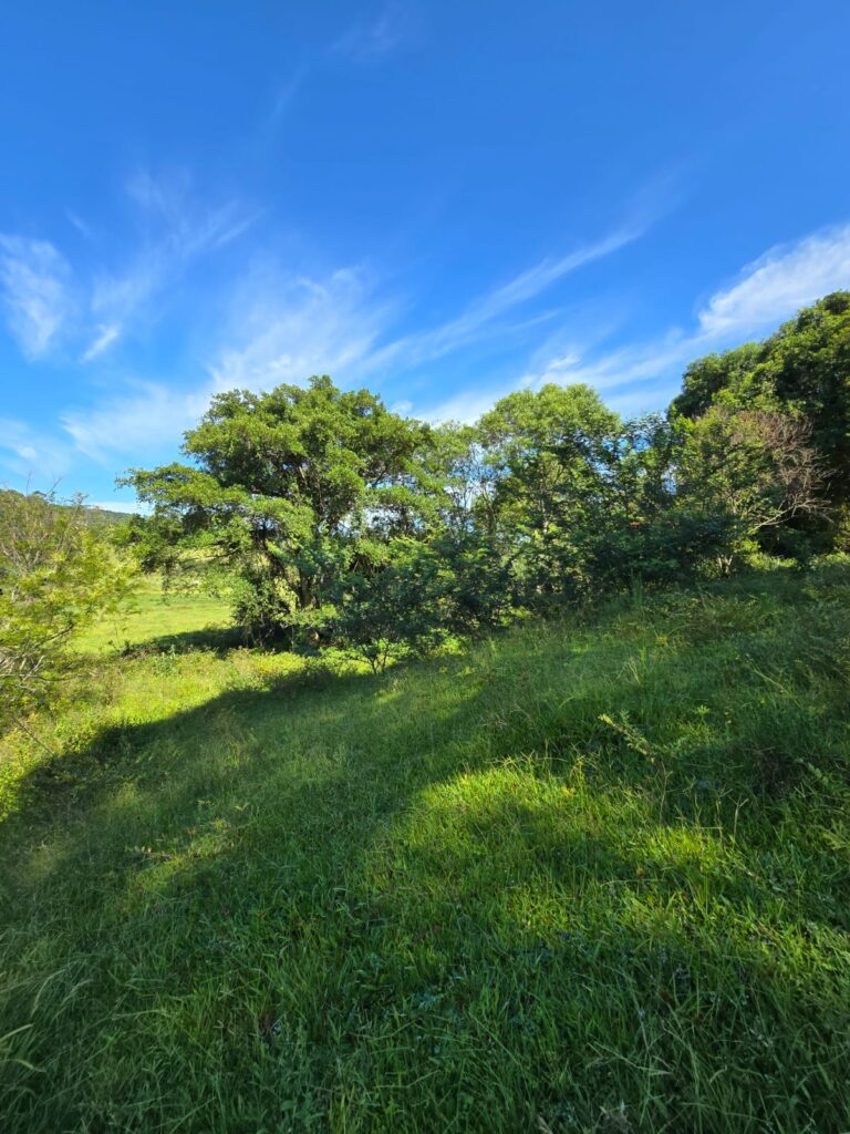 c331efa4-8274-4175-b2a5-48d975963777