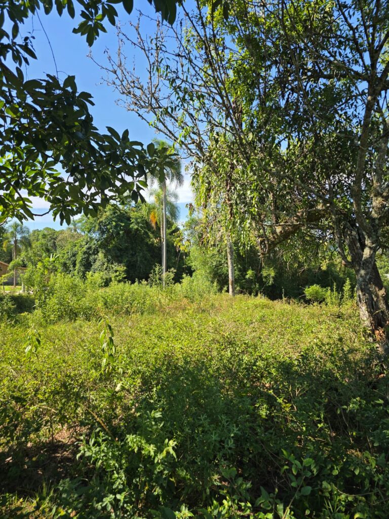 c3a557c4-b19e-40de-8f1d-7081b45c1673