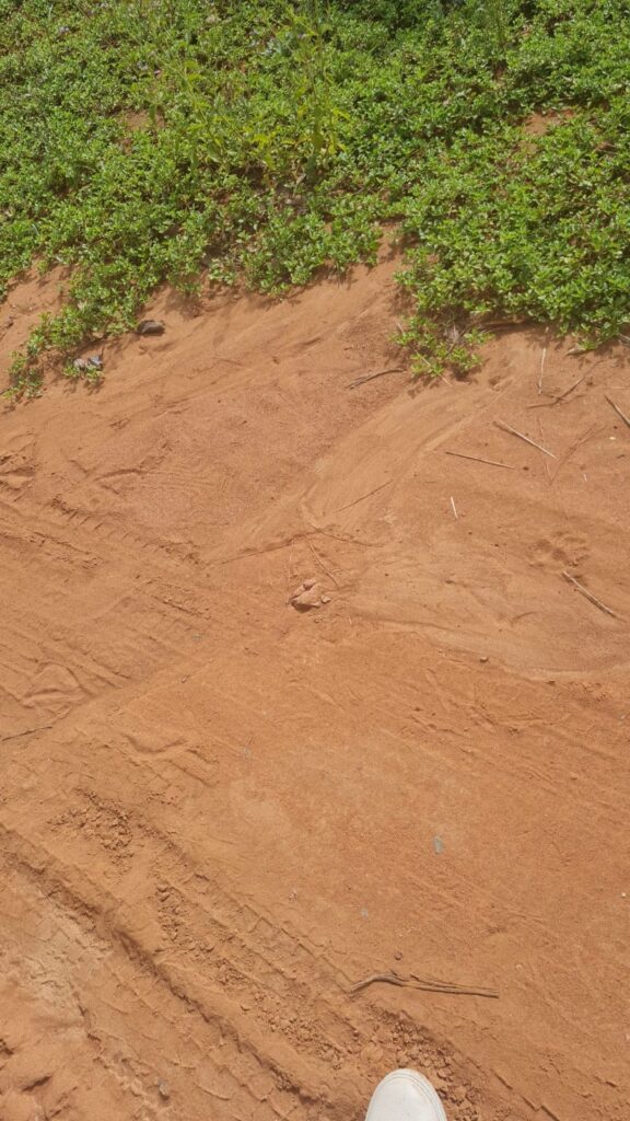 c8d75c1c-c4d0-47a8-aa86-e20ab878b44c