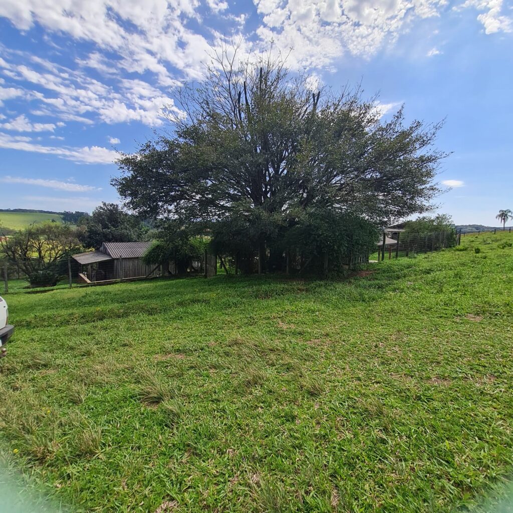 d1717968-bc04-4f35-90ba-a8d68b10d360