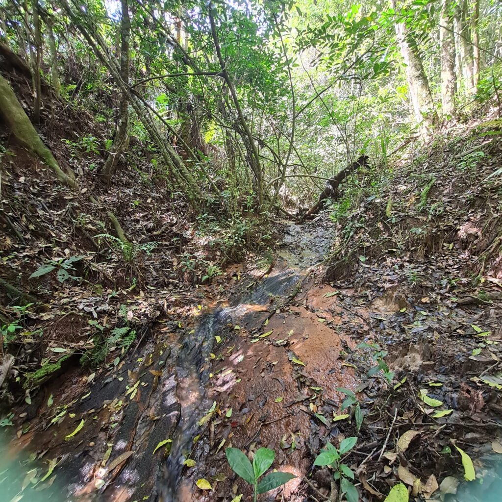 d18e0ddf-ea7f-47b1-9a7a-bded65f8e8b6