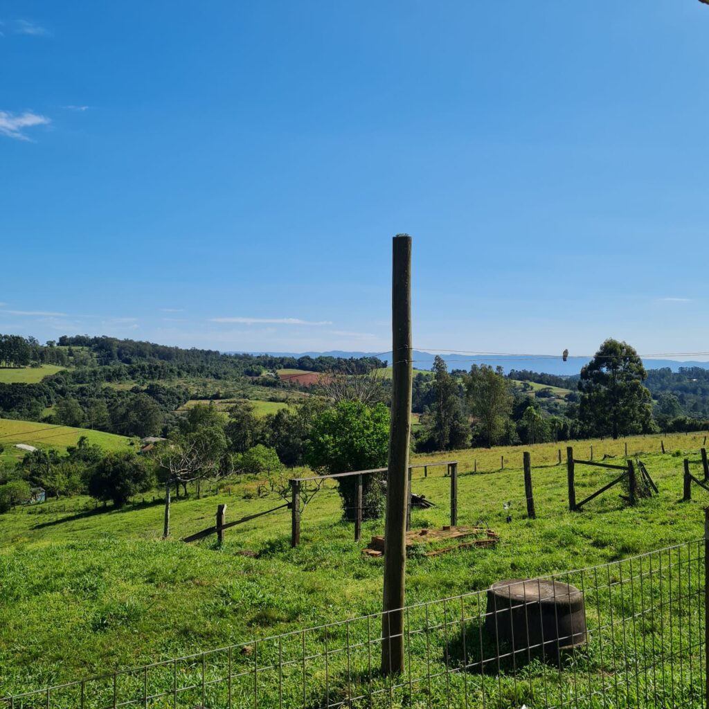 d785e14e-08da-4fa0-926a-129bd89cf5e1