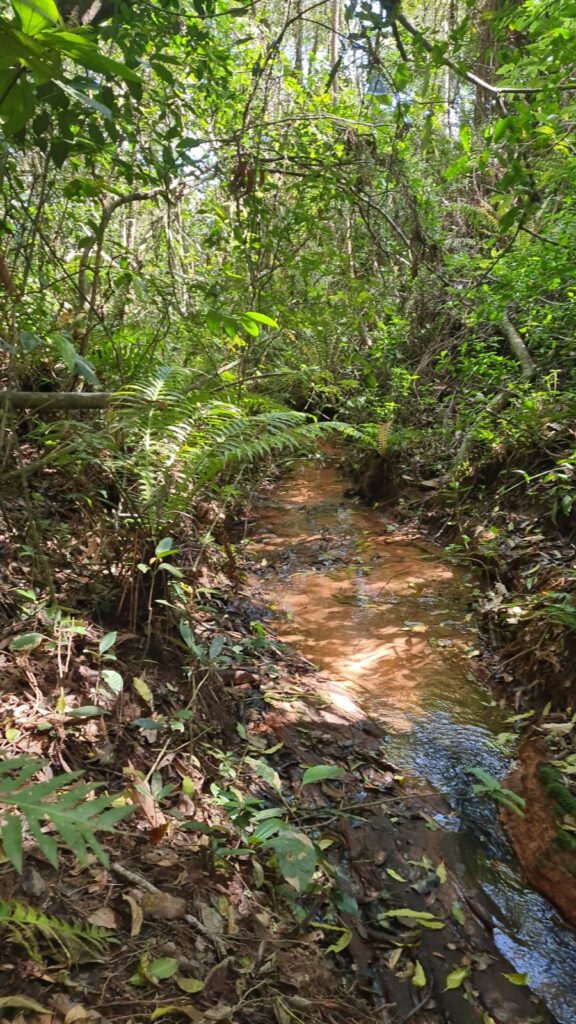 d99371df-86e0-4565-abe3-57278ea38419