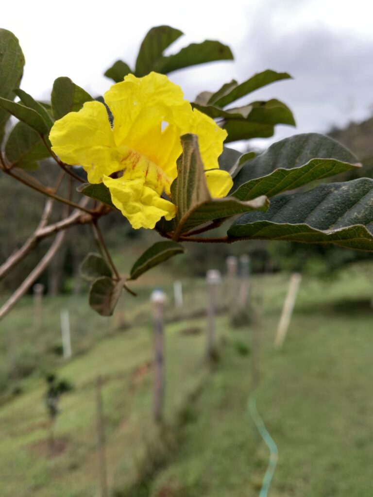 dad579d5-669c-49e8-9596-e1872e533102