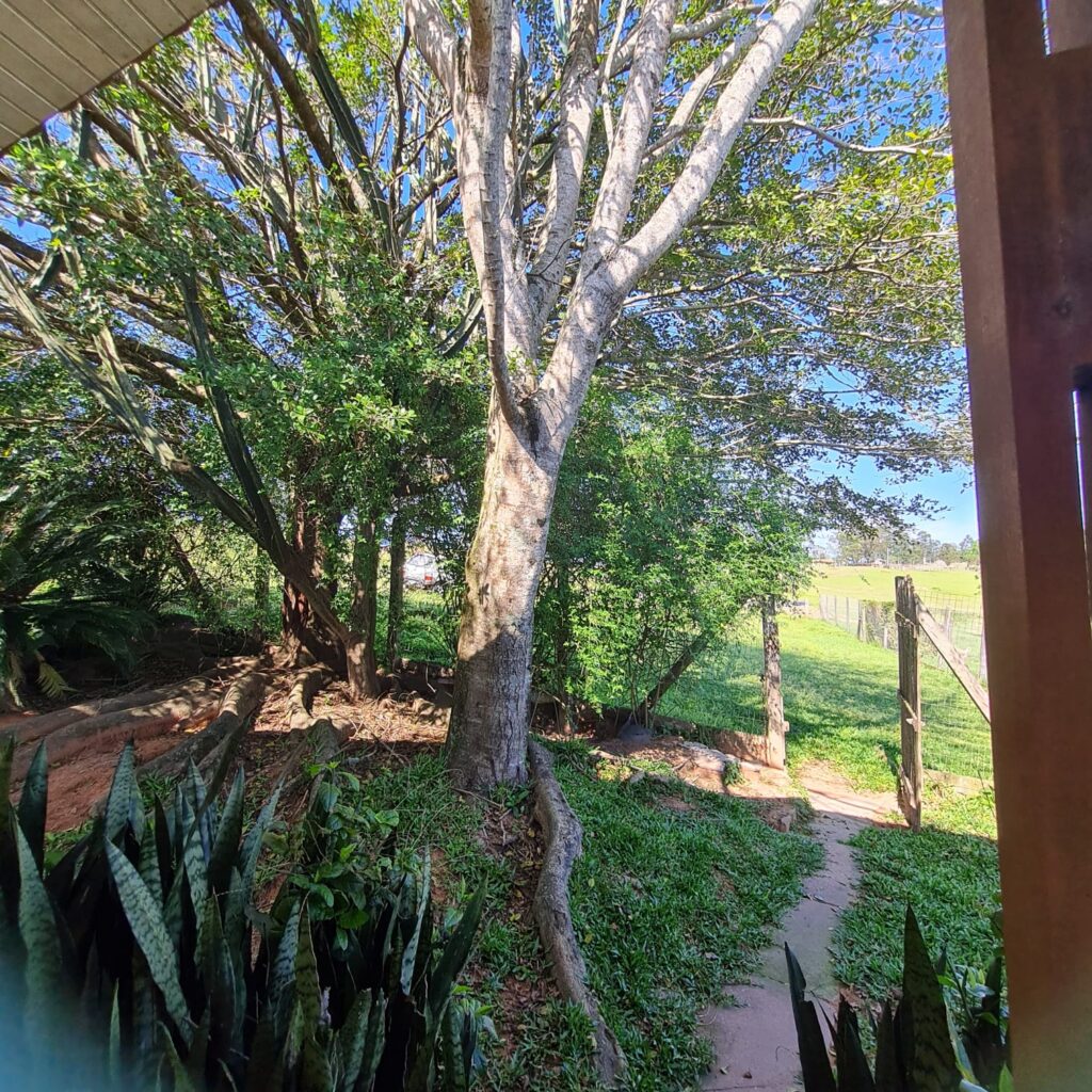 dca55f37-ca23-4ec9-9a0e-bdc4bfde0530