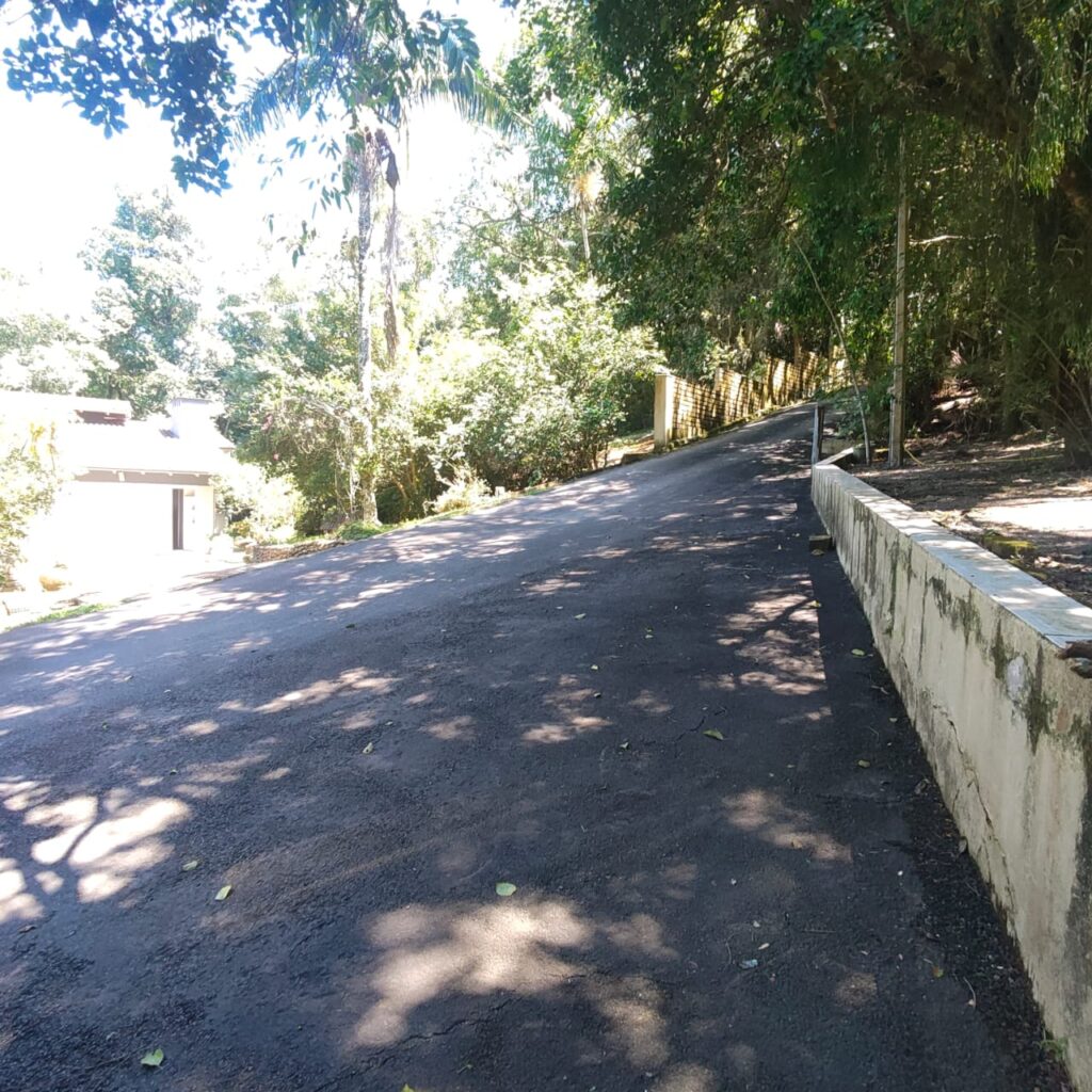 e274919d-4d4f-4326-96b4-136c6ba9511b