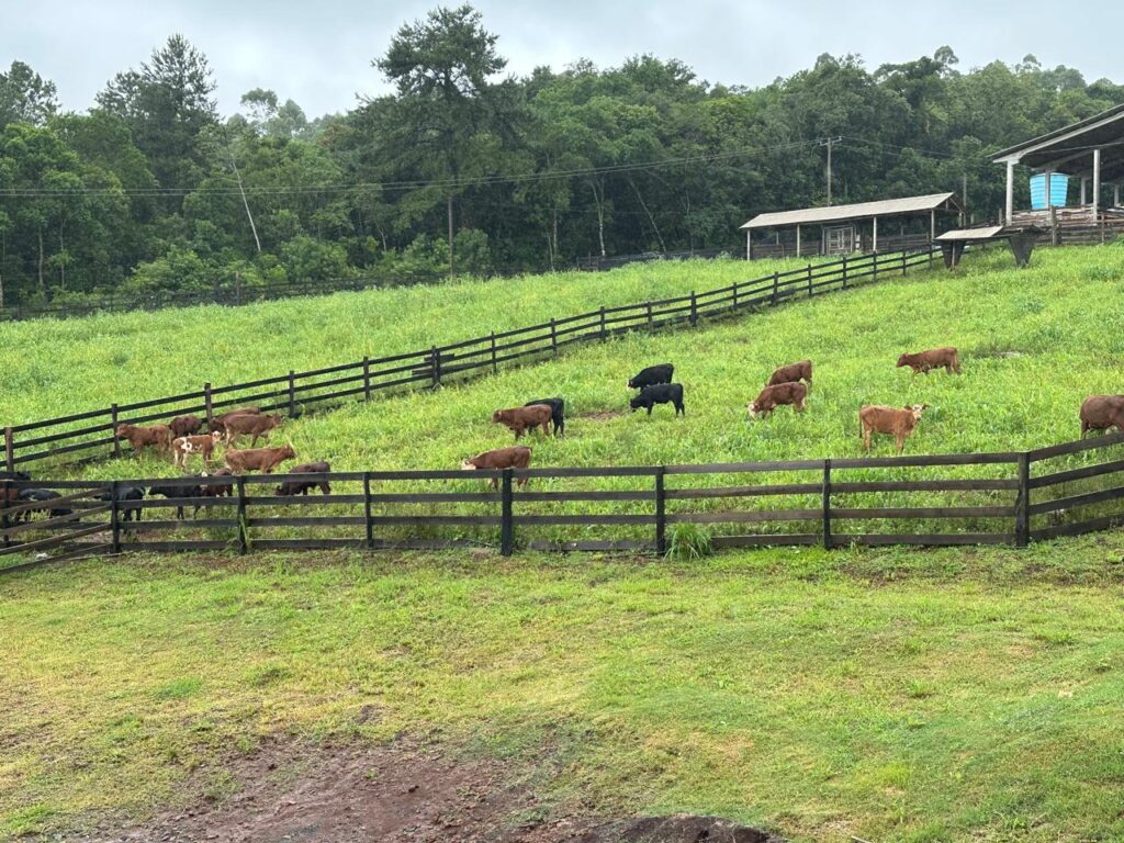 e3cfbd20-db7f-499b-b7dc-f6caacae3ae1