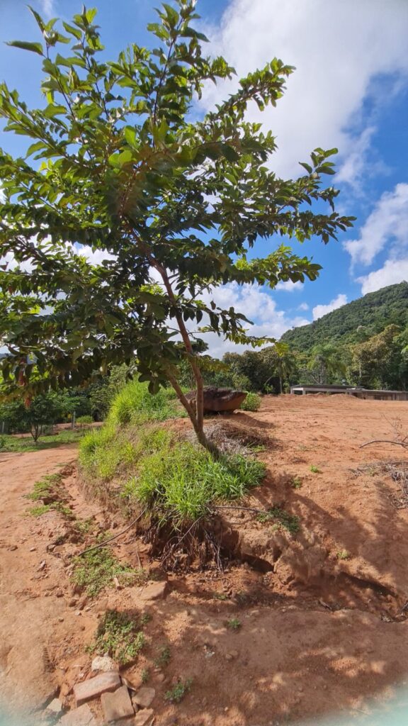 e5b5bbb8-c233-4bf1-ba63-96bbc4fdbdde