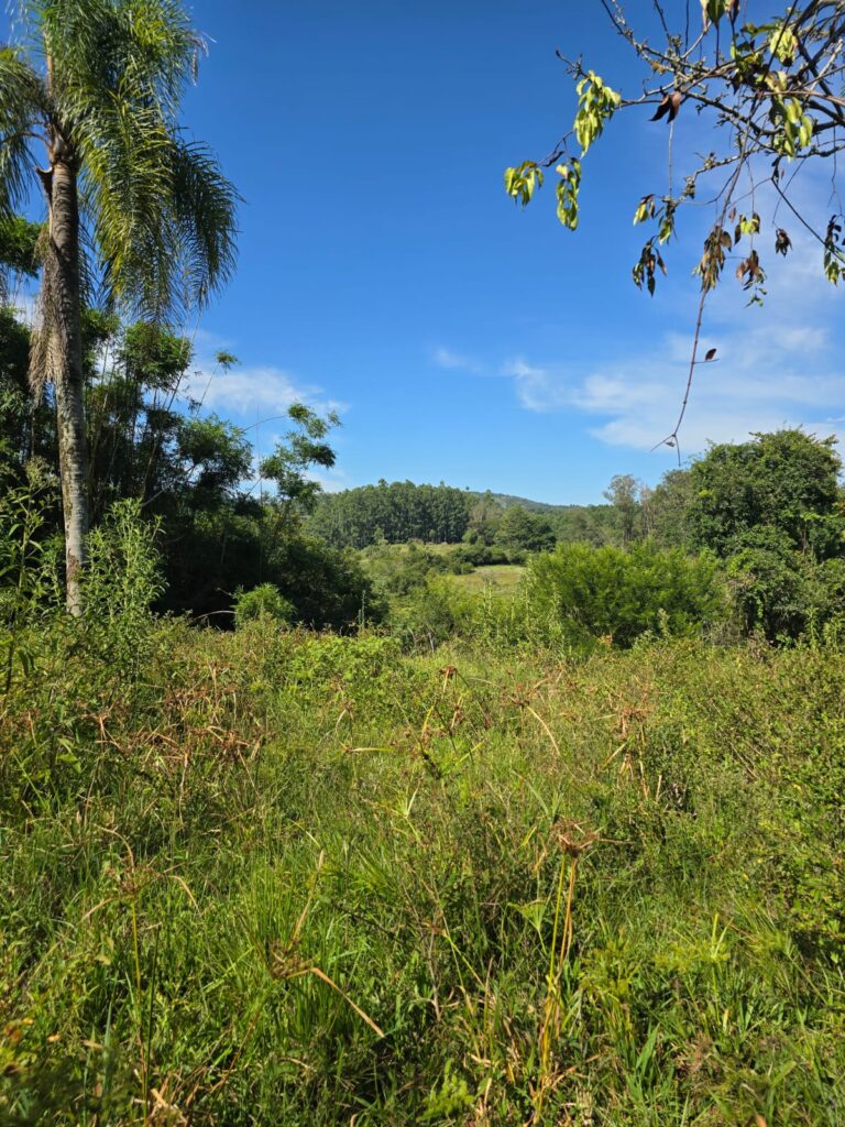 e7704bc2-01e3-498d-a955-b51154ed428f