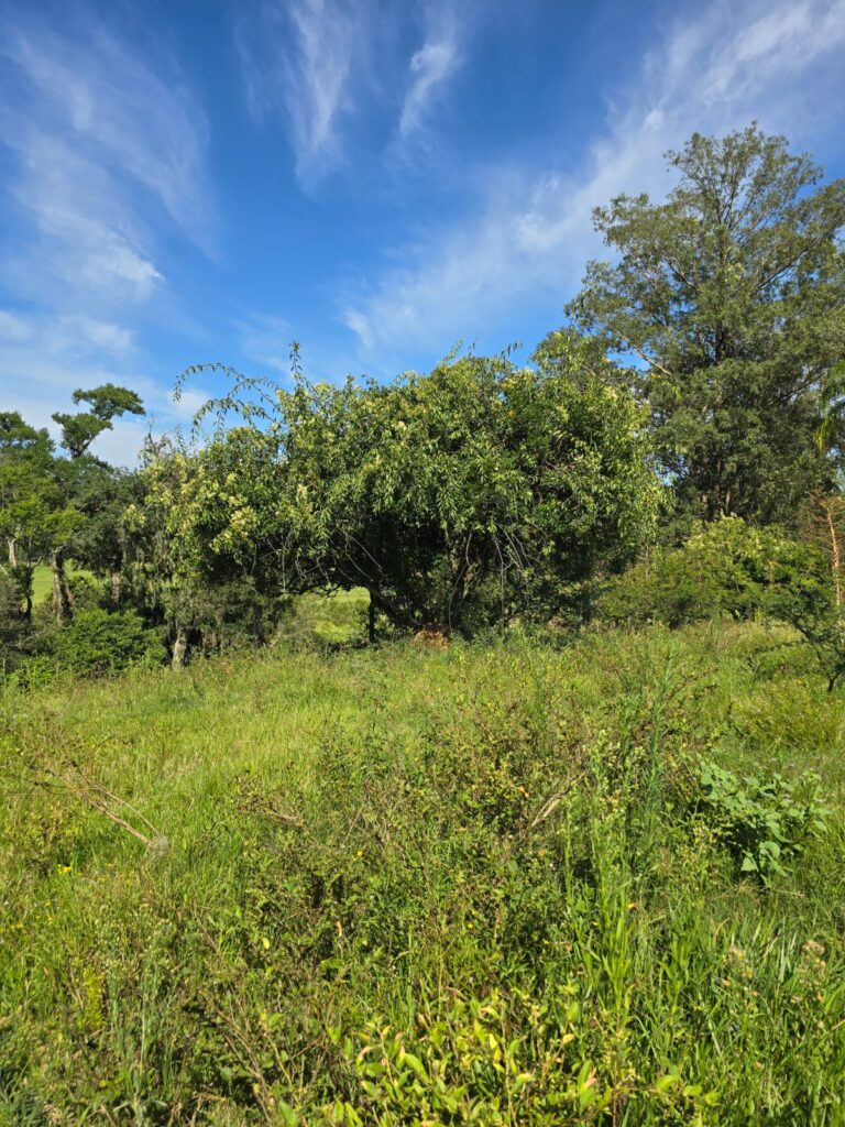 eb56cfd1-ba59-453e-a661-390534c26000