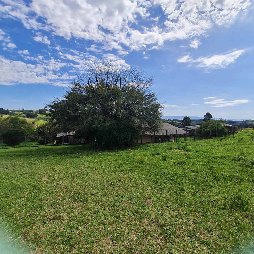 ecb9c3fa-b9ac-4a2a-ad6b-13455cb9aacf