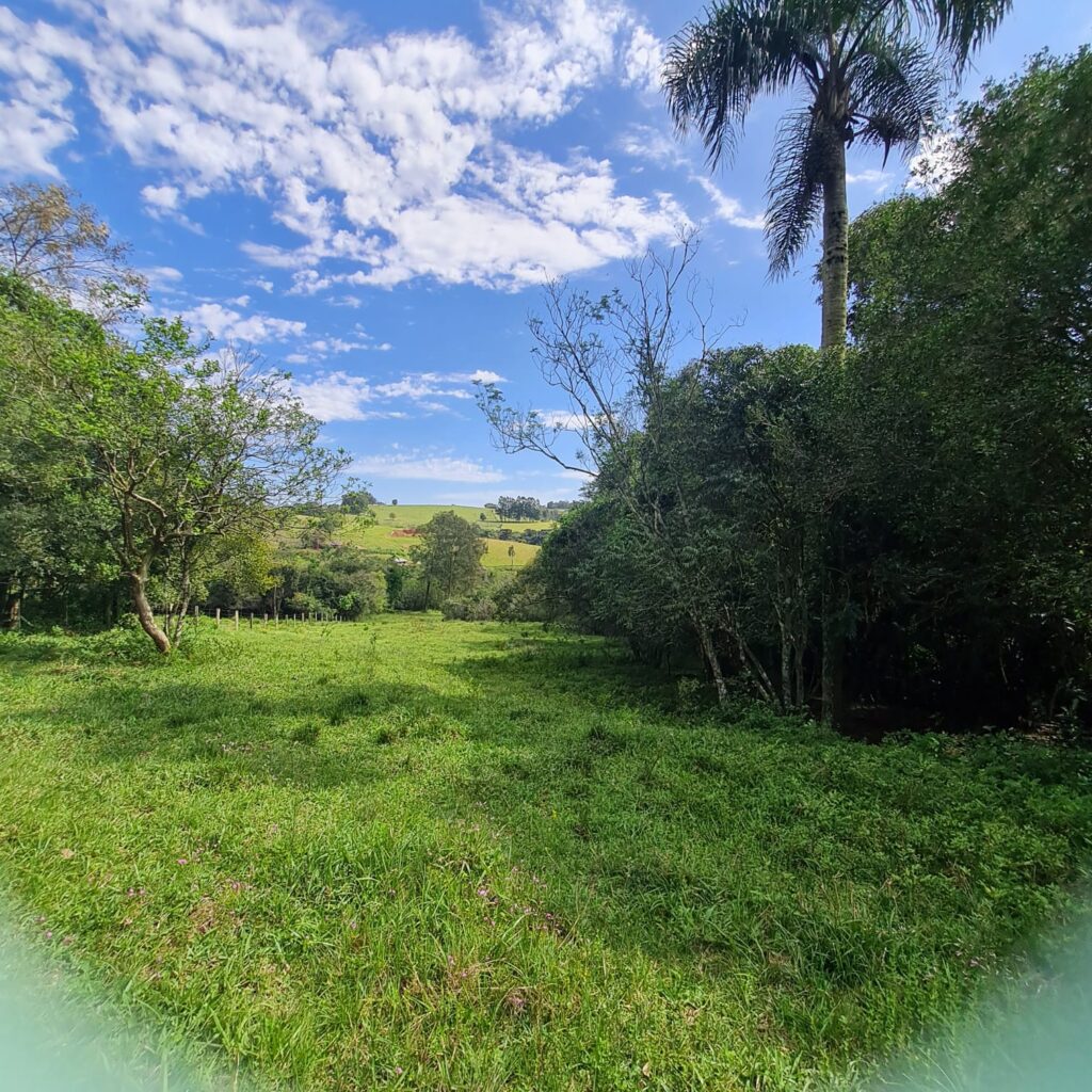 ed49bf0c-1310-4e2d-b11d-72d80bd5226b