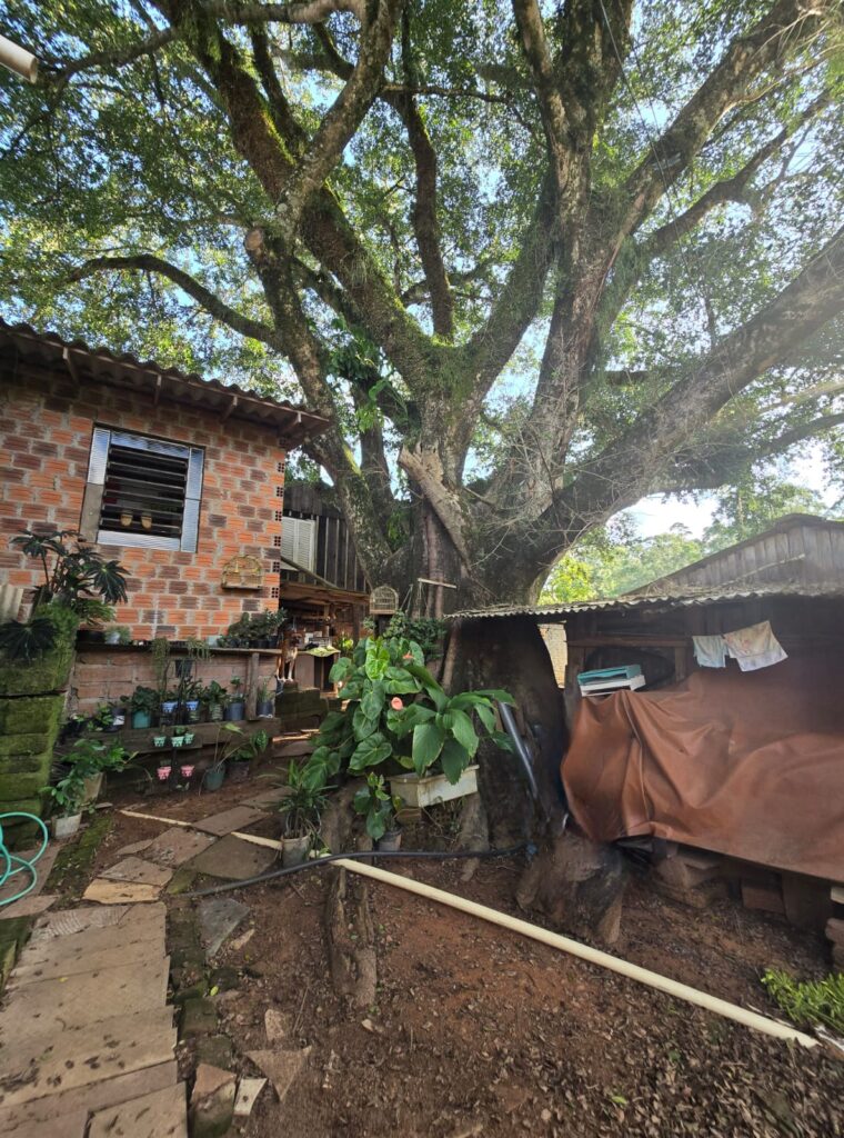 eec00396-5dbc-4547-8f96-984c52426d96